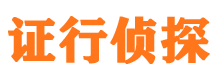 东丽市调查公司